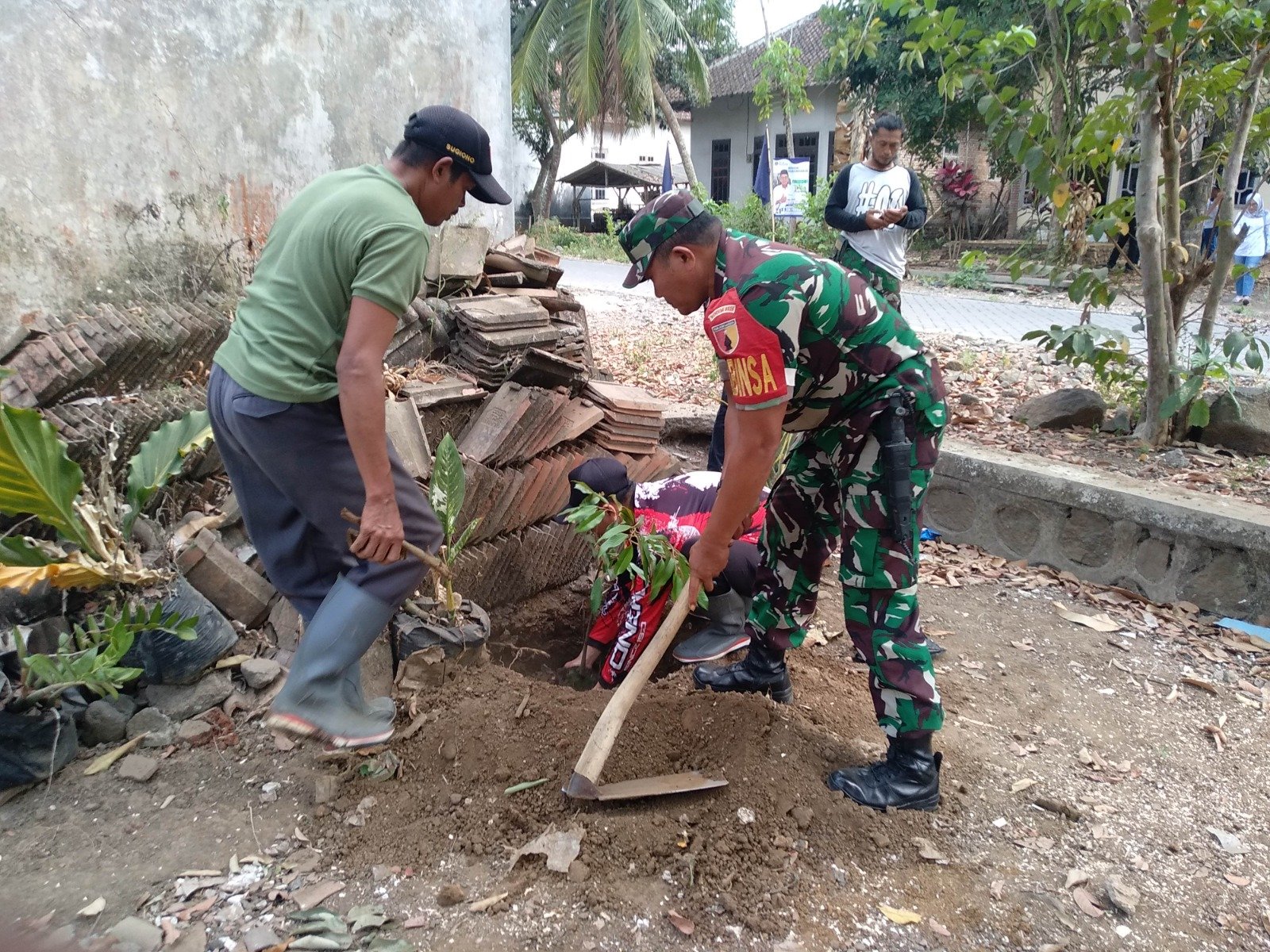 Hijaukan Sumbersari, Babinsa dan Warga Tanam Harapan Lewat Aksi Penghijauan