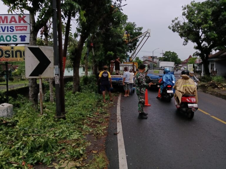 “Detik-Detik di Jalan Benculuk!” Babinsa Wonosobo Turun Tangan Amankan Lalu Lintas saat Penebangan Pohon Rawan Tumbang