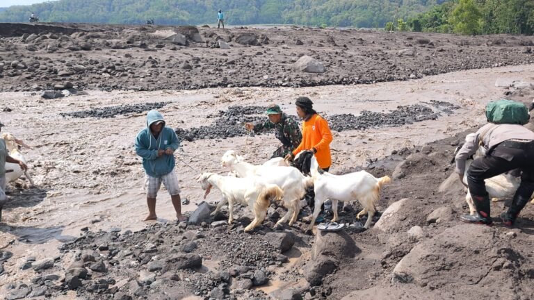 Personel Kodim 0821/Lumajang Bantu Evakuasi Barang Berharga Warga Terdampak Banjir Lahar Dingin Semeru