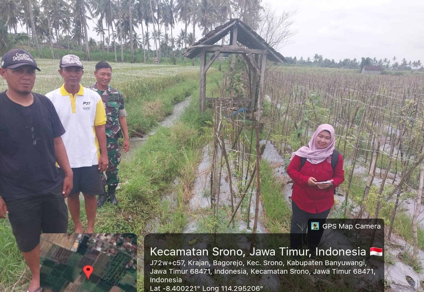 Babinsa Sukonatar Tinjau Lahan 25 Hektare untuk Program IRPOM 2026, 60 Petani Disiapkan Jadi Penerima Manfaat